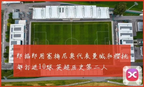 即插即用塞梅尼奥代表曼城和樱桃都打进10球 英超历史第二人